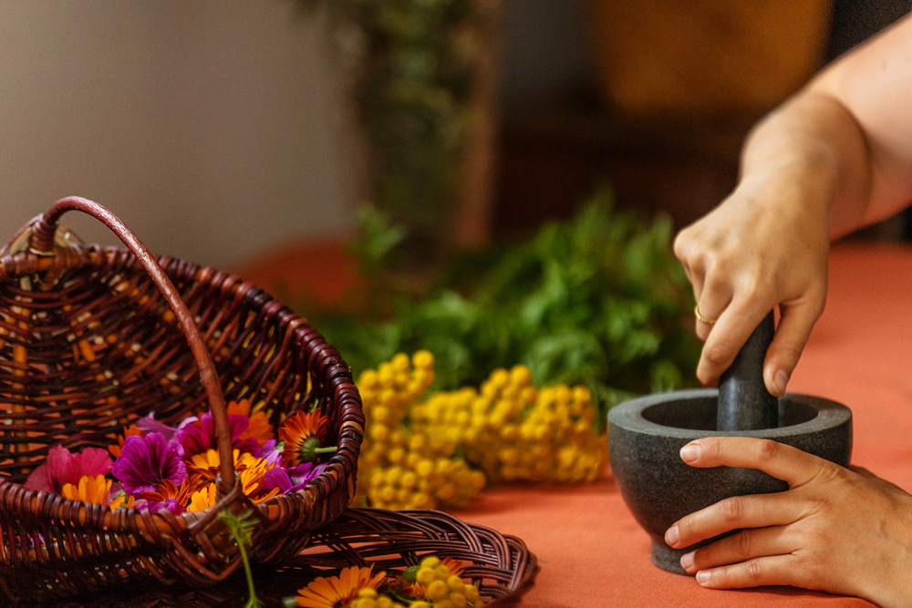 mains d'herboriste qui transforment des plantes