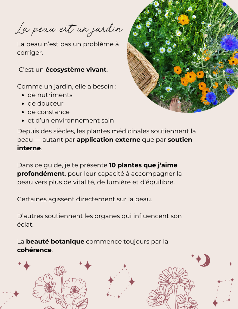 Intro au guide botanique